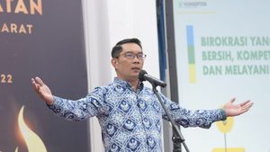Kehidupan Balita Arini Supriatna: Idap Apert Syndrome, Ditinggal Ibu Jadi TKW dan Akhirnya Ditolong Ridwan Kamil
