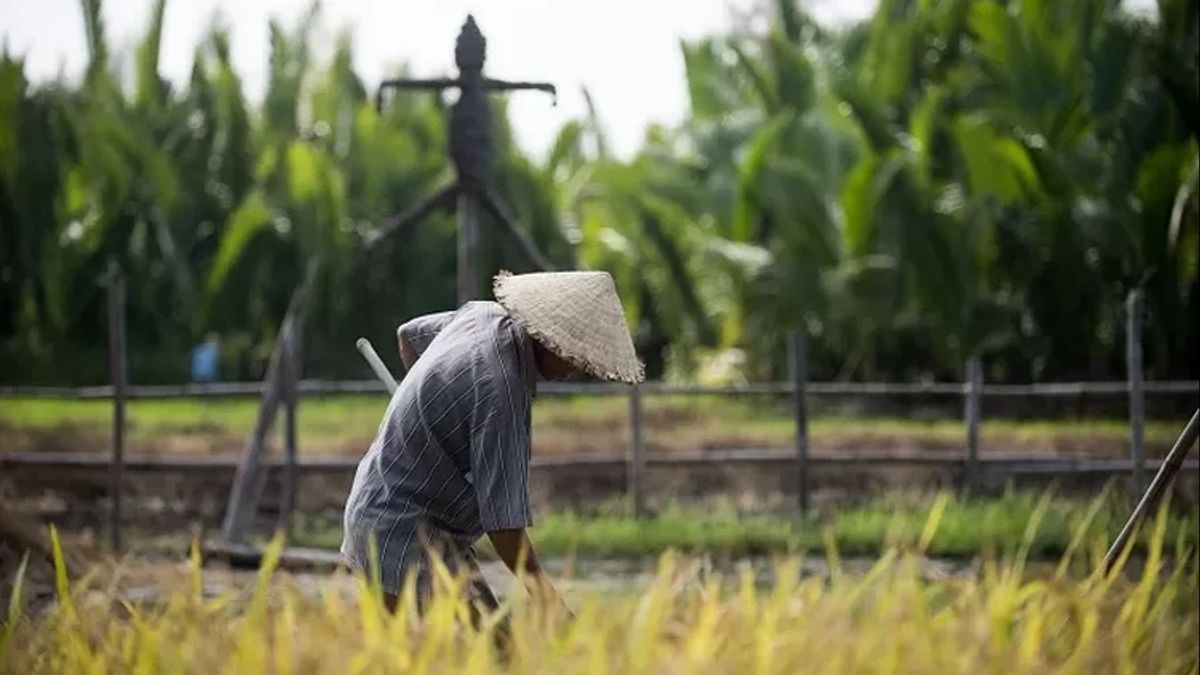 Terima 2 Sertifikat Tanah Ketua BUMDes Terkait Korupsi Dana KUR Petani Sumbawa, Kejari Jadikan Kelengkapan Bukti
