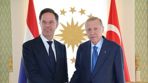 Didukung Ankara dan Presiden Erdogan Sebagai Sekjen NATO, Mark Rutte: Turki Adalah Aktor Geopolitik Berpengaruh