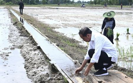 Presiden Minta Tambahan Pompa Atasi Kekeringan Lahan Tani Juli-Oktober