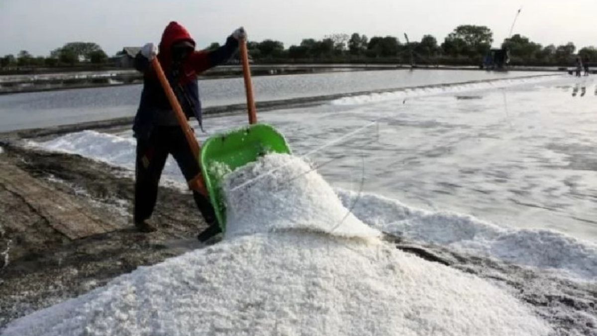 تسريع إنتاج الملح، مركز وزارة الصناعة يطور تقنية نظام الرش