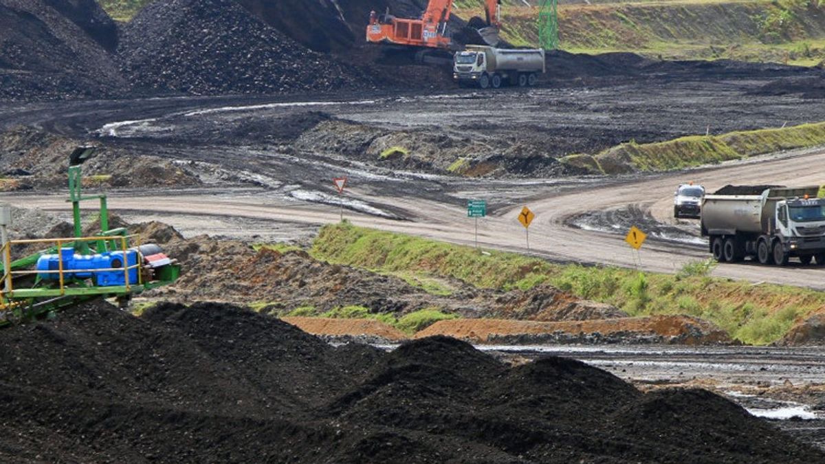 المراقبون عن قيمة الحظر المفروض على صادرات الفحم على حق