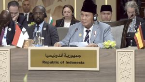 普拉博沃透露,印度尼西亚为帮助加沙人民而努力的4点,教育有医疗援助