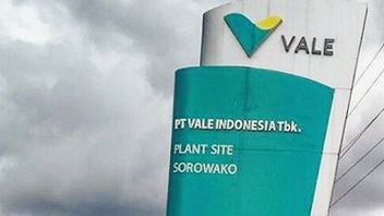 これがMIND IDのValeインドネシア株式取得資金源です