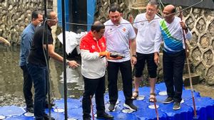 Pramono Bakal Bentuk Tim Khusus Basmi Ikan Sapu-sapu, Operasi Dilakukan Rutin