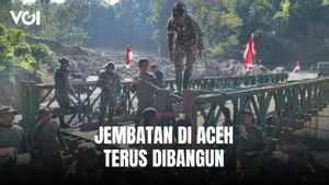 TNI Terus Bekerja Tanpa Henti Bangun Jembatan di Aceh untuk Pulihkan Akses Warga