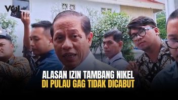 Tambang Nikel di Pulau Gag Akan Diaudit Lingkungan oleh Kementerian Lingkungan Hidup