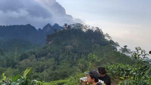 Peneliti Jelaskan Penyebab Fenomena Warna Kehijauan saat Malam Hari di Langit Menoreh