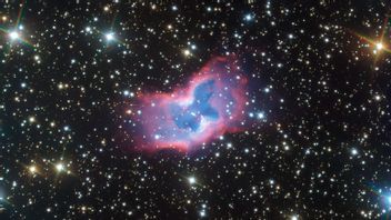 ESO巨大望遠鏡が蝶の星雲の画像をキャプチャ