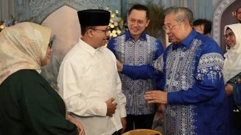 プラモノは代替副大統領と呼ばれ、アニス-AHYの親睦は統合の初期のシグナルと評価される