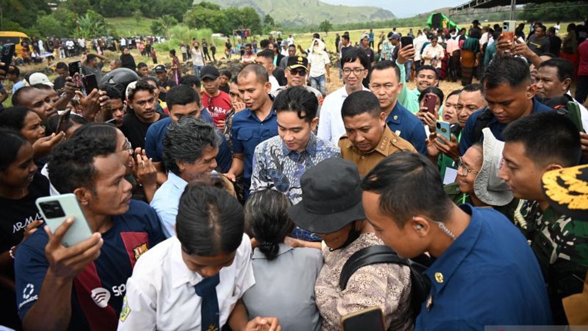 Wapres Gibran Temui Petani Sikka, Beri Bantuan Traktor Tangan dan Pompa Air