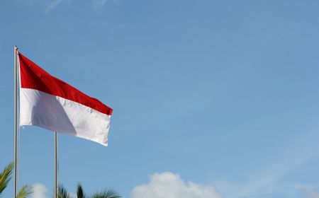 Keras! Indonesia Putus Kerja Sama REDD+ dengan Norwegia, Dana Rp840 Miliar Tak Kunjung Cair