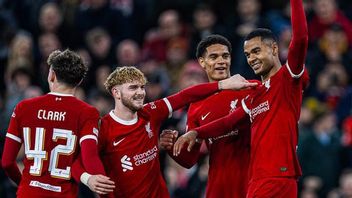 Liverpool vs Brighton & Hove Albion:  Dari Anfield The Reds Ingin Kembali ke Puncak Klasemen