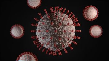 Kaleidoscope 2020: Many New Virus Discoveries Other Than COVID-19