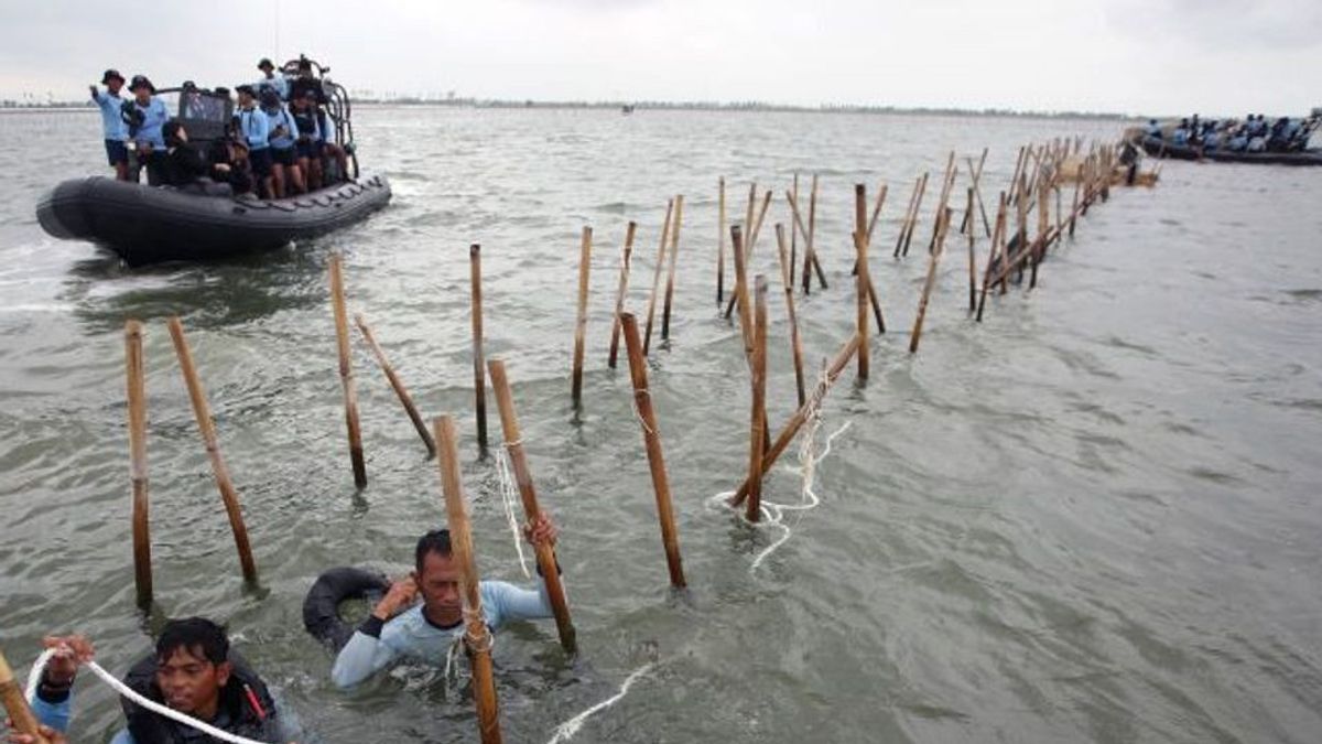 Pagar Laut Dicabut, Nelayan Kohod Akui Pendapatannya Meningkat 20 Persen