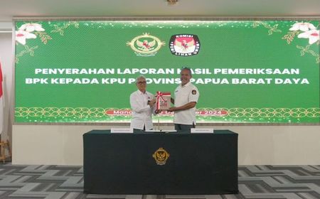 BPK RI Sebut Biaya Perjalanan Dinas 5 KPU di Papua Barat Tidak Sesuai Kondisi