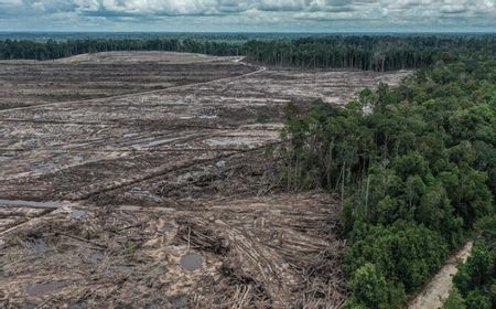 Konflik Global, Perubahan Iklim, dan Food Estate Salah Urus: Indonesia Hadapi Ancaman Krisis Pangan