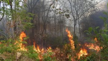 LH省は7つの泥炭地火災危険地帯を記録