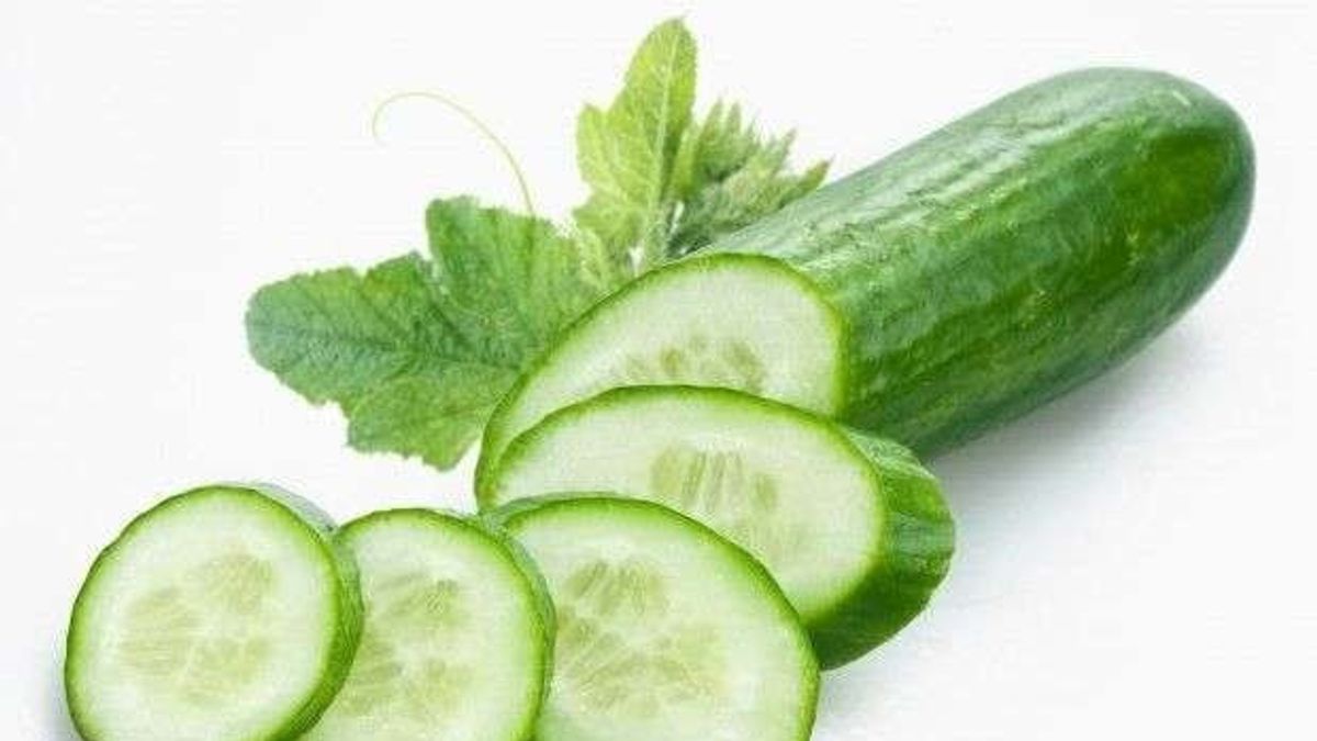 Cucumber Becomes A Exchange Tool To Welcome World Cucumber Day