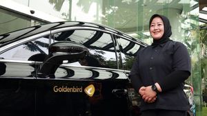 Goldenbird Presents Premium And Environmentally Friendly Mobility Experience