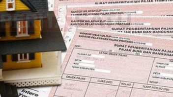 国連-P2とは何か:国連-P3との理解と違い