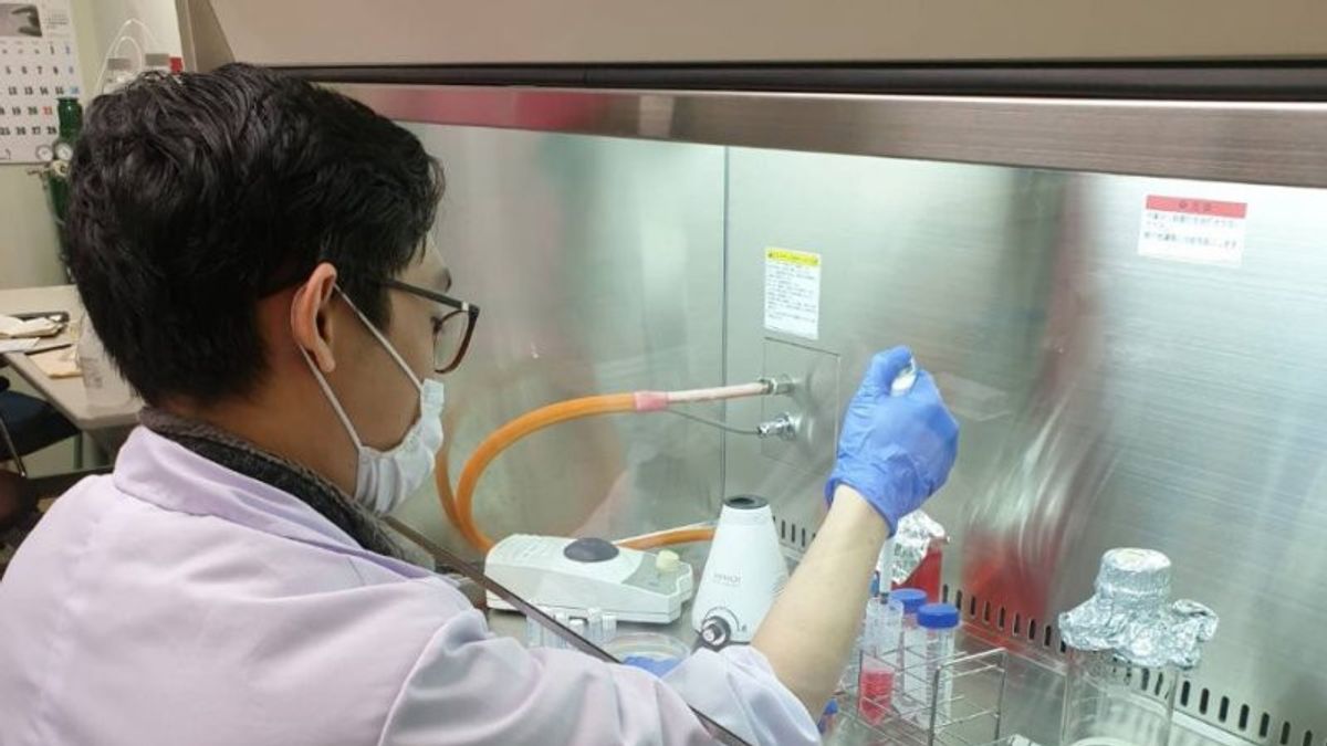 محاضر في معهد سوماتران للتكنولوجيا يبحث في أدوية مضادة للانسان مصنوعة من بيريوينكل وسوماتيرا باين