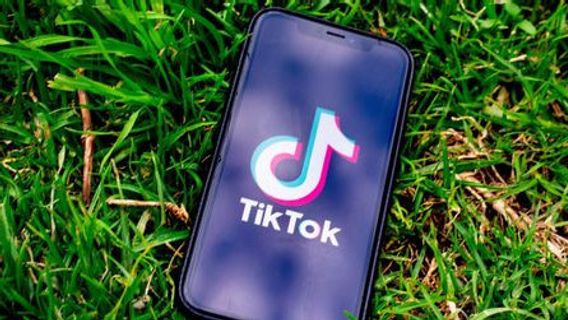 連邦裁判所は、米国でのTikTokアプリの禁止の延期要求を拒否した