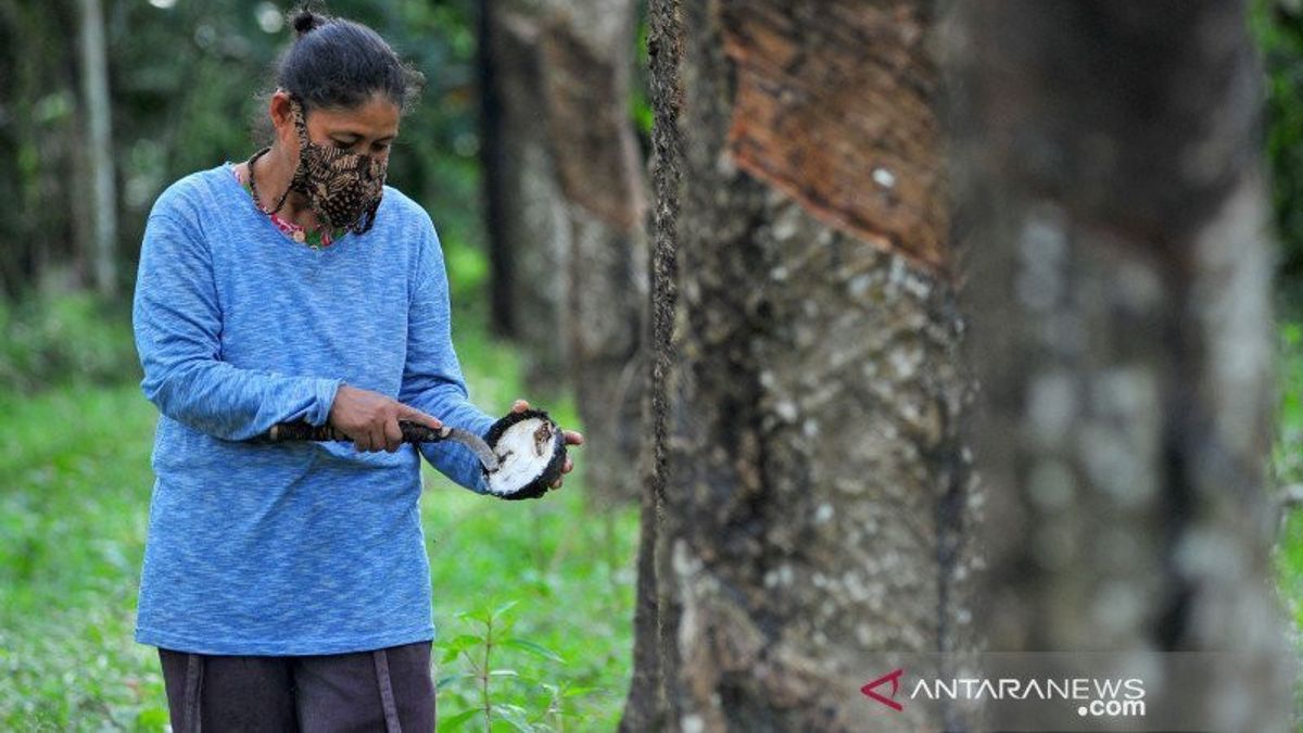 Banyu Asin Hadirkan Rumah Perlindungan Perkerja Perempuan Sektor, Menjadi Contoh RP3 di Sektor Perkebunan