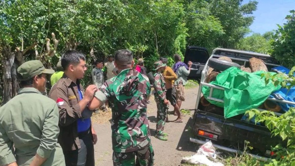 Illegal Logging Action In Mount Tambora NTB National Park, 3 Officers Arrested