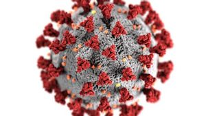 COVID-19 Varian Cicada Kian Meningkat di Inggris, Anak-anak Lebih Rentan Terinfeksi