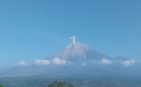 Pagi Ini, Gunung Semeru Kembali Erupsi dengan Letusan Setinggi 800 Meter