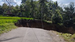 Jalan Akses Wisata Tegallalang-Tampaksiring Bali Amblas 50 Meter Bak Ditimpa Meteor, Ini Penyebabnya