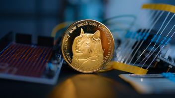 Mau Beli Meme Coin? Ini 5 Hal yang Perlu Diperhatikan Biar Nggak Rungkad