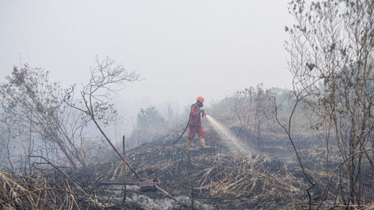南スマトラ島の森林火災や陸上火災の影響を受けたジャンビ