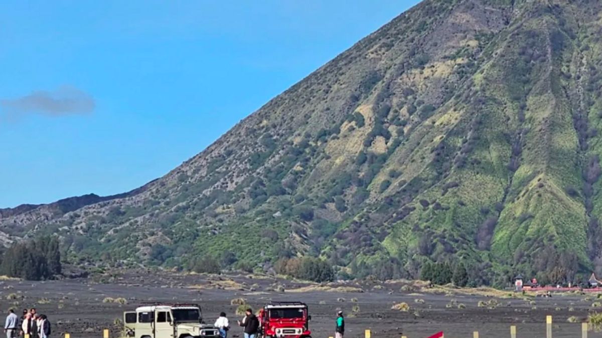 Viral Temuan Ladang Ganja di Bromo, Kemenpar Pastikan Keamanan Destinasi Wisata