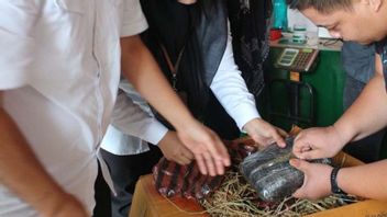 BNN Banda Aceh refuse de livrer 80 kg de marijuana sèche par le service d’expédition