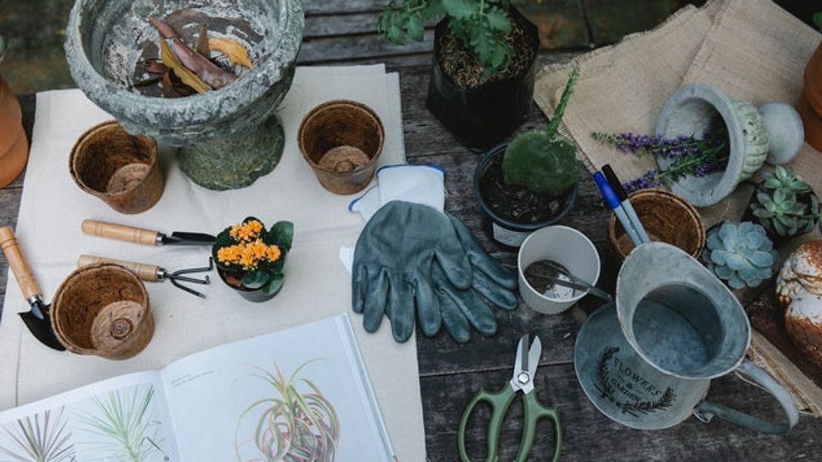 5 Jenis Alat yang Wajib Ada di Rumah untuk Membantu Kegiatan Berkebun
