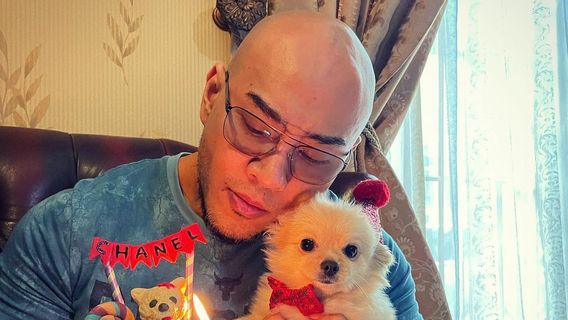 Satire, Deddy Corbuzier Sindir Ustaz Yahya Waloni yang Sengaja Tabrak Anjing