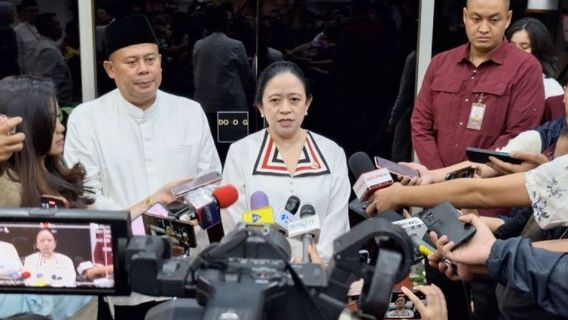Ikuti Forum Kelompok Parlemen Bela Palestina, Langkah Puan Dianggap Pengamat Sejalan dengan Diplomasi Prabowo