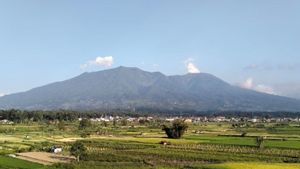 Badan Geologi: Gempa Embusan Dominasi Aktivitas Gunung Marapi