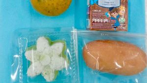 Langgar SOP Pakai Plastik Bungkus MBG, SPPG Pandeglang Sebut Dilakukan Kader Posyandu