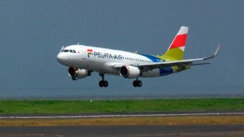 الحكومة تريد دمج Pelita Air-Garuda Indonesia ، المراقبين: من الأنسب أن يكون مخطط التوحيد