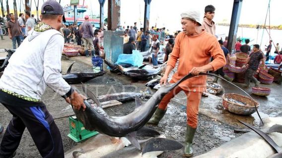 Penelitian Pakar Kesehatan IPB: Banyak Ditemukan Bakteri dari Ikan Kebal Terhadap Antibiotik Manusia