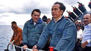 Jokowi ke Luhut Soal Perizinan Investasi di KIPI Kaltara: Jangan Tunggu Pakai Hari atau Minggu, tapi Hitungan Jam agar Terlihat Kita Serius