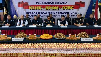 Pangolin Scale Export Smuggling Thwarted, Customs And Excise: Can Be Processed As Narcotics Raw Material