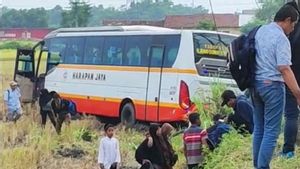 Hampir Bertubrukan, Bus Harapan Jaya Terperosok ke Sawah di Kediri