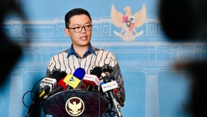 Nine Indonesian Nationals Arrested by Israel Released, Foreign Minister Sugiono Assures Escort for Return to the Country