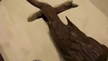 BIOTROPは、インドネシア経済に対するガハルとセンダナの絶滅リスクに警告します