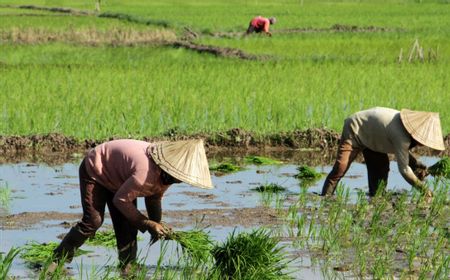 Ini Langkah Pupuk Indonesia Ajak Generasi Muda Jadi Petani