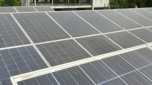 Yayasan Kelautan Buktikan PLTS Bukan Hanya untuk Komersial